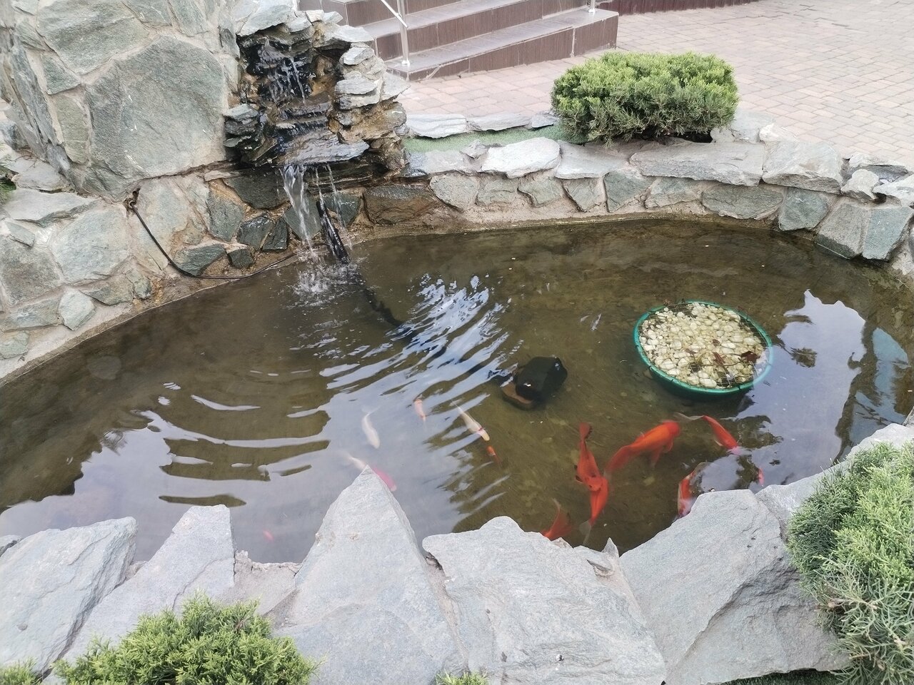 Гостиница Golden Hotel Пятигорск-156